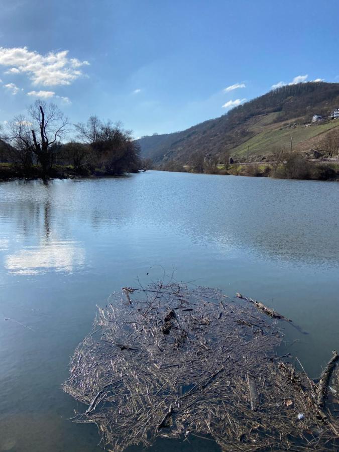 Lieblingsplatz Koblenz Villa Koblenz  Eksteriør bilde